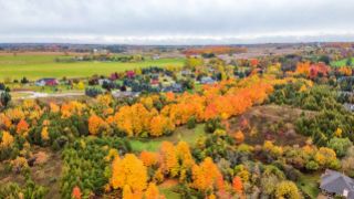12 Fieldway Court, Melancthon