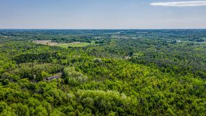 16866 McLaughlin Road, Caledon