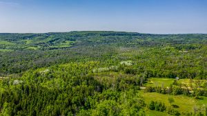 16866 McLaughlin Road, Caledon