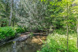 16866 McLaughlin Road, Caledon