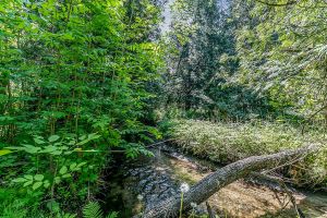 16866 McLaughlin Road, Caledon