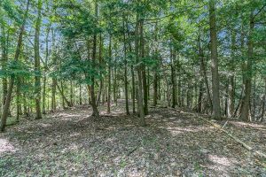16866 McLaughlin Road, Caledon