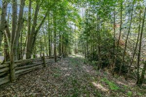 16866 McLaughlin Road, Caledon