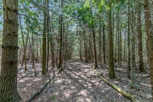 16866 McLaughlin Road, Caledon