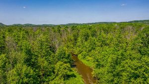 16866 McLaughlin Road, Caledon