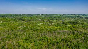 16866 McLaughlin Road, Caledon
