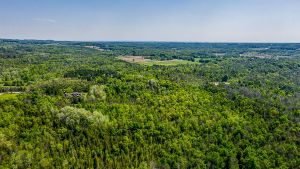 16866 McLaughlin Road, Caledon