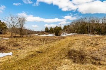 17130 The Gore Road, Caledon