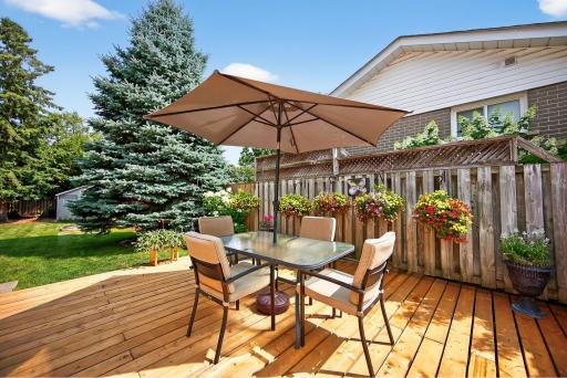 217 Zina Street, Orangeville