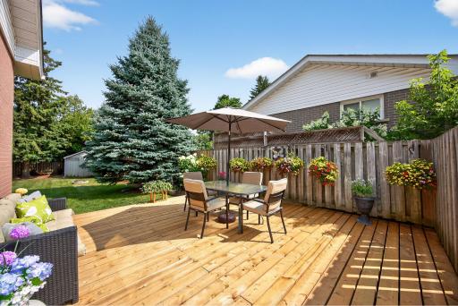 217 Zina Street, Orangeville