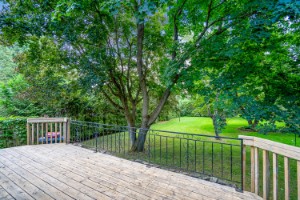 221 Victoria Street E, Southgate, Ontario