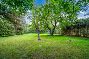 221 Victoria Street E, Southgate, Ontario