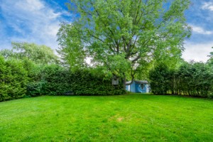 221 Victoria Street E, Southgate, Ontario