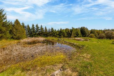 282398 County Road 10, Grand Valley