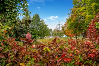 304 Victoria Street E, Southgate, Ontario
