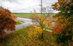 247 King St North #316, Alliston, Ontario