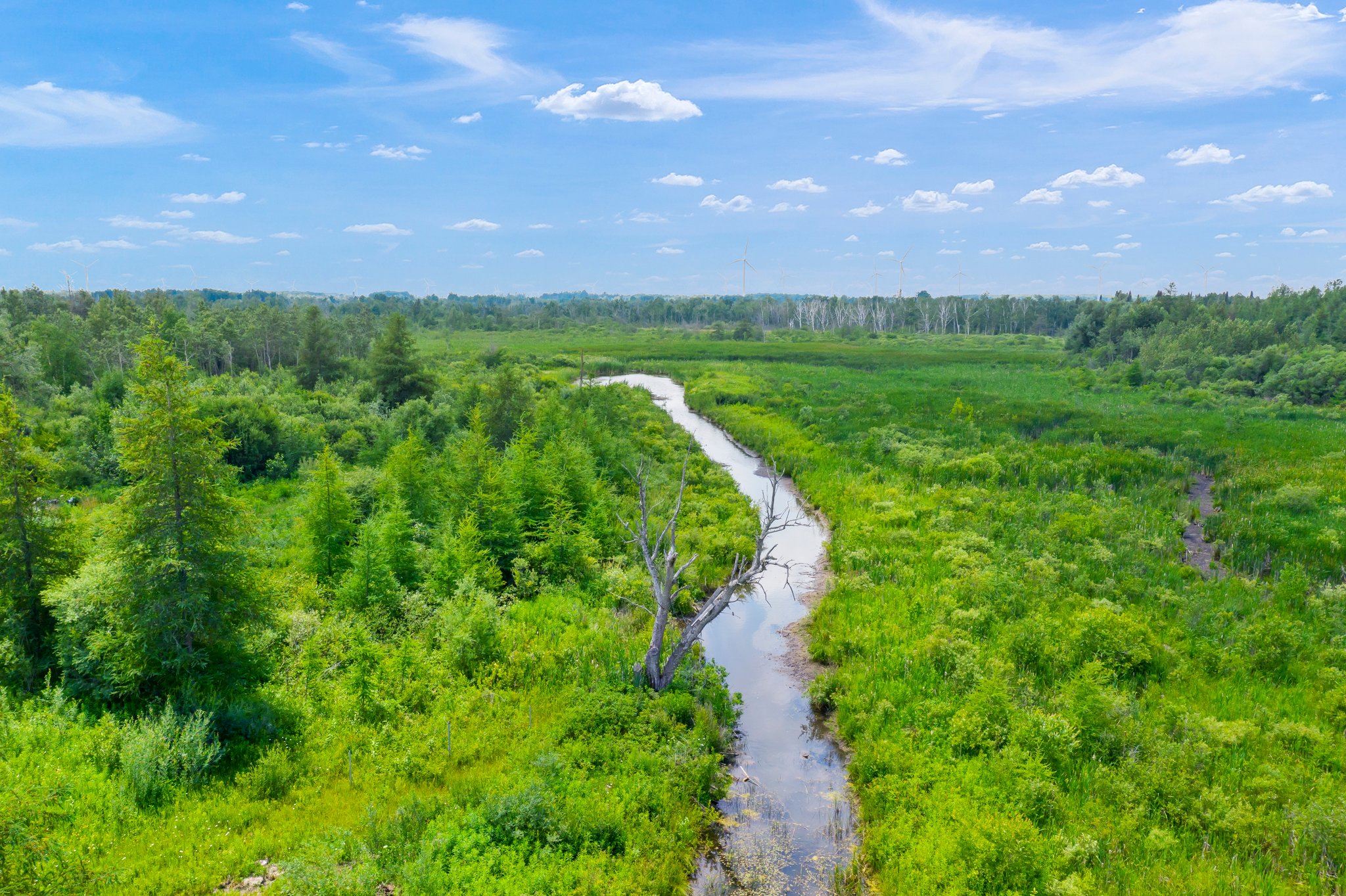 396064 5th Line Melancthon, Ontario Video Tour and Photos