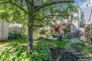 4 Princess Street, Orangeville