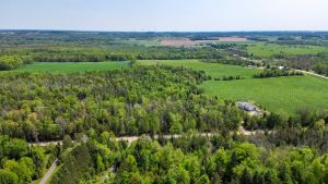 425425 25th Sideroad Amaranth