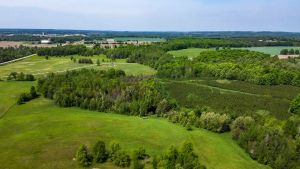 425425 25th Sideroad Amaranth