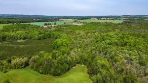 425425 25th Sideroad Amaranth