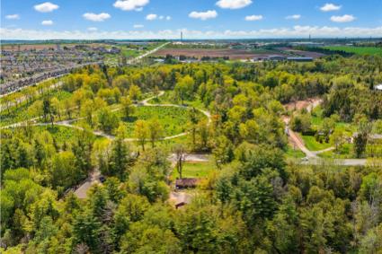 55 County Rd 16 Veterans Way N, Orangeville
