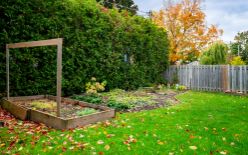 56 Hewitt Street, Orangeville