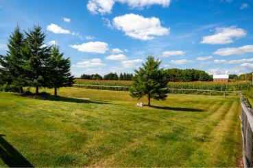 676600 Centre Rd, Mulmur
