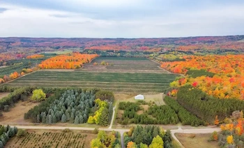 838086 4th Line East, Mulmur