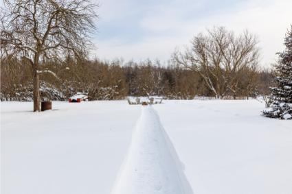 95 Amaranth St E, East Luther Grand Valley