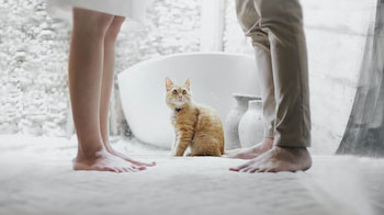 Choosing a Divorce Real Estate Agent Caledon