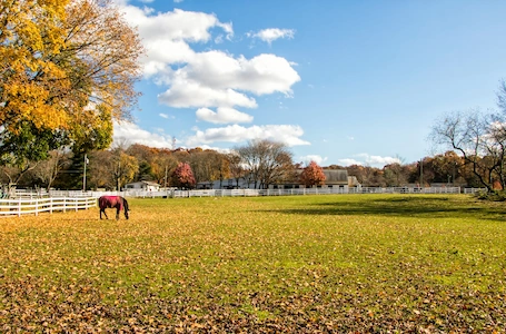 Equestrian real estate, Ontario