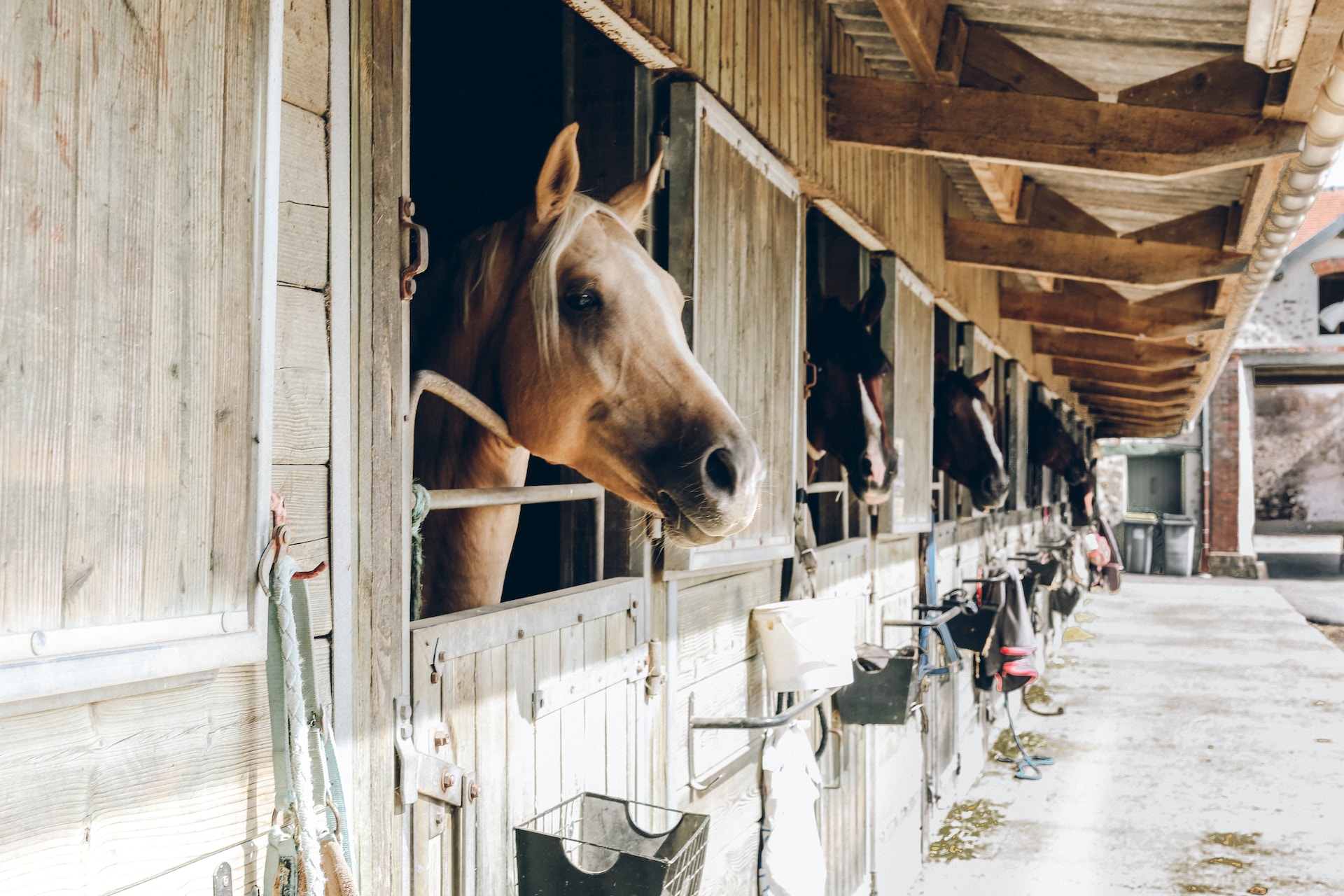 Equestrian Property Financing and Loans: A Guide for Property Owners and Buyers