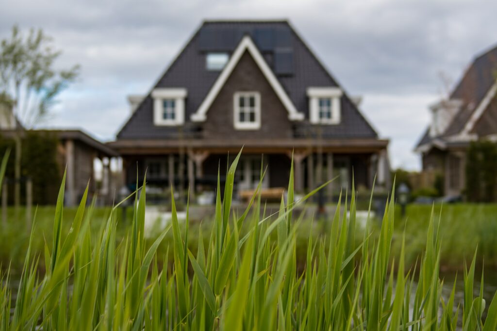Why You Should Consult a Professional in an Estate Sale