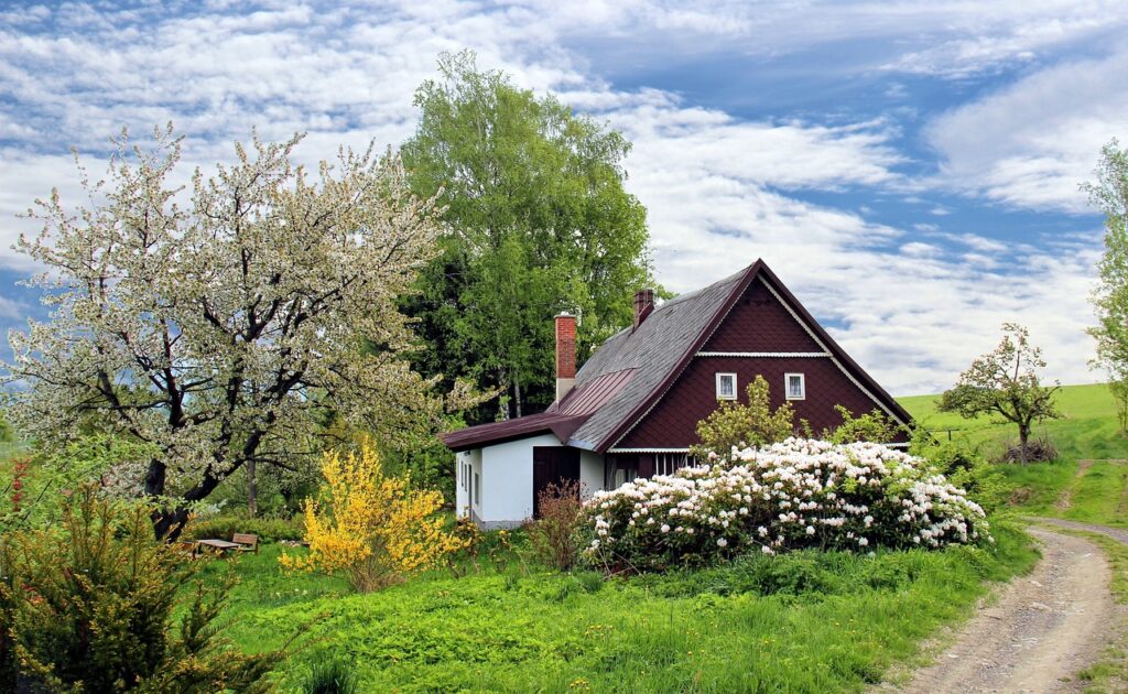 What are Some of Services Provided by Real Estate Agents?