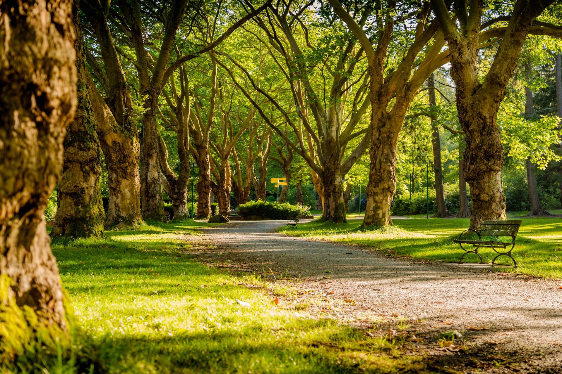 How Many Parks Are in Orangeville?