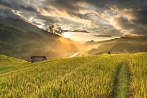 What Are the Disadvantages of Living in Remote Areas?