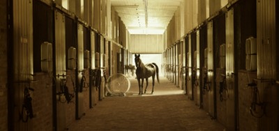 Equestrian Real Estate Agents Caledon
