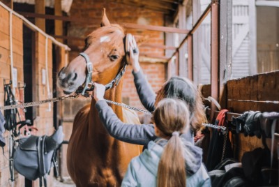 Equestrian Real Estate Agents Shelburne