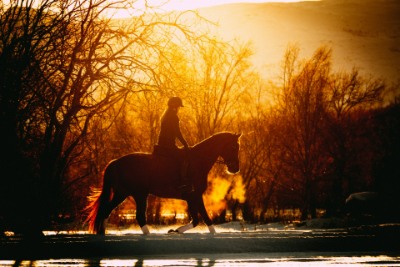 Equestrian Real Estate Agents Melancthon
