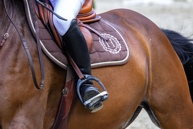 Equestrian Real Estate Agents Grand Valley