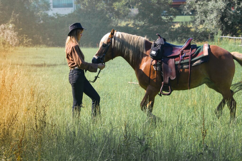 How Much Land do you Need for a Horse Paddock?