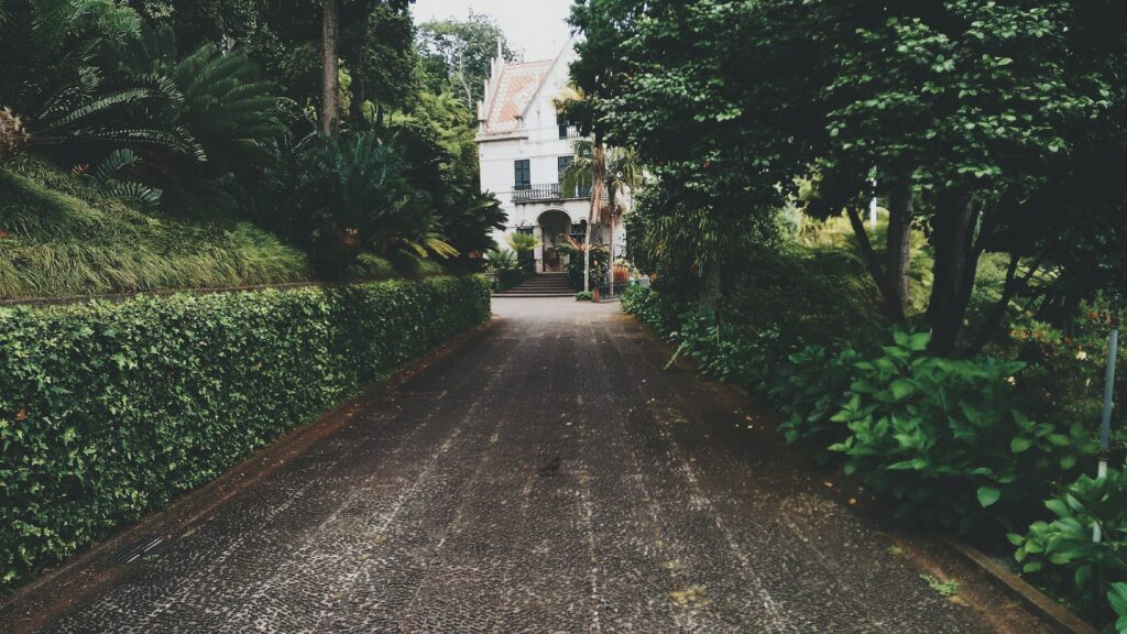 What is the Importance of Curb Appeal in Home Valuation?