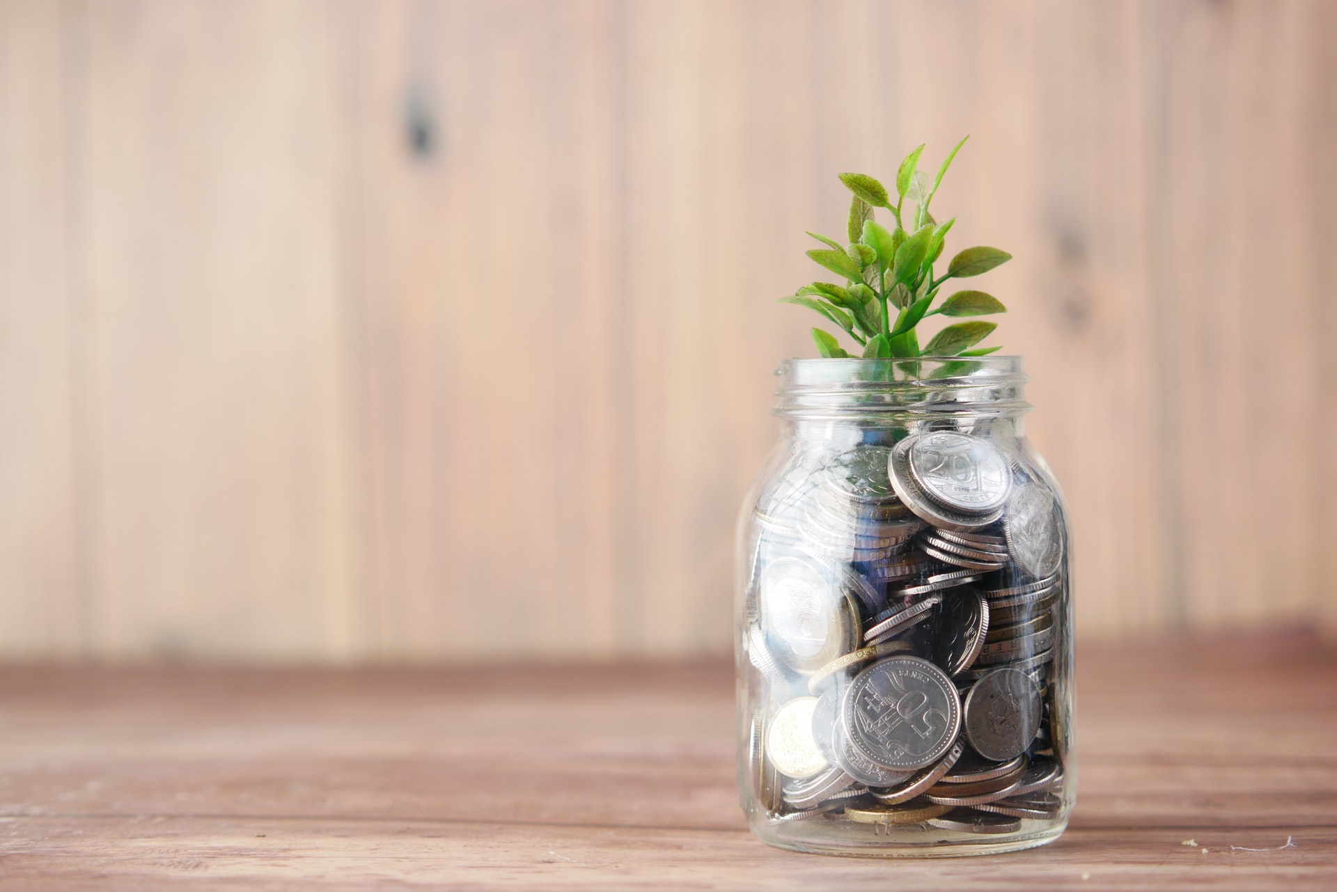 Orangeville Investment Property Realtors, 5 Essentials to Look For