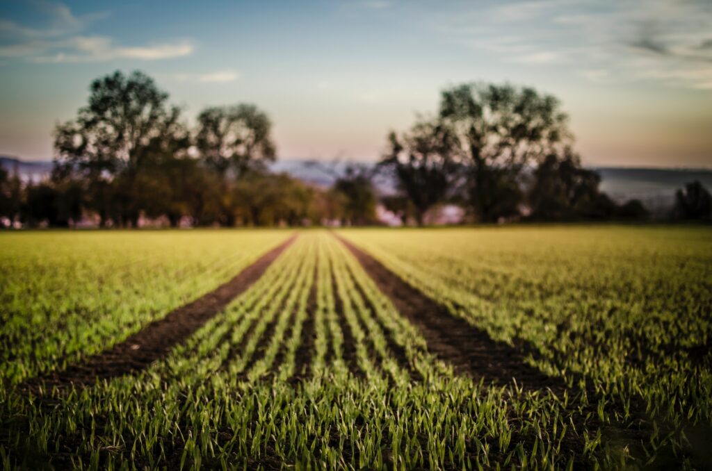 What is the Importance of Land Value in Real Estate Evaluation?