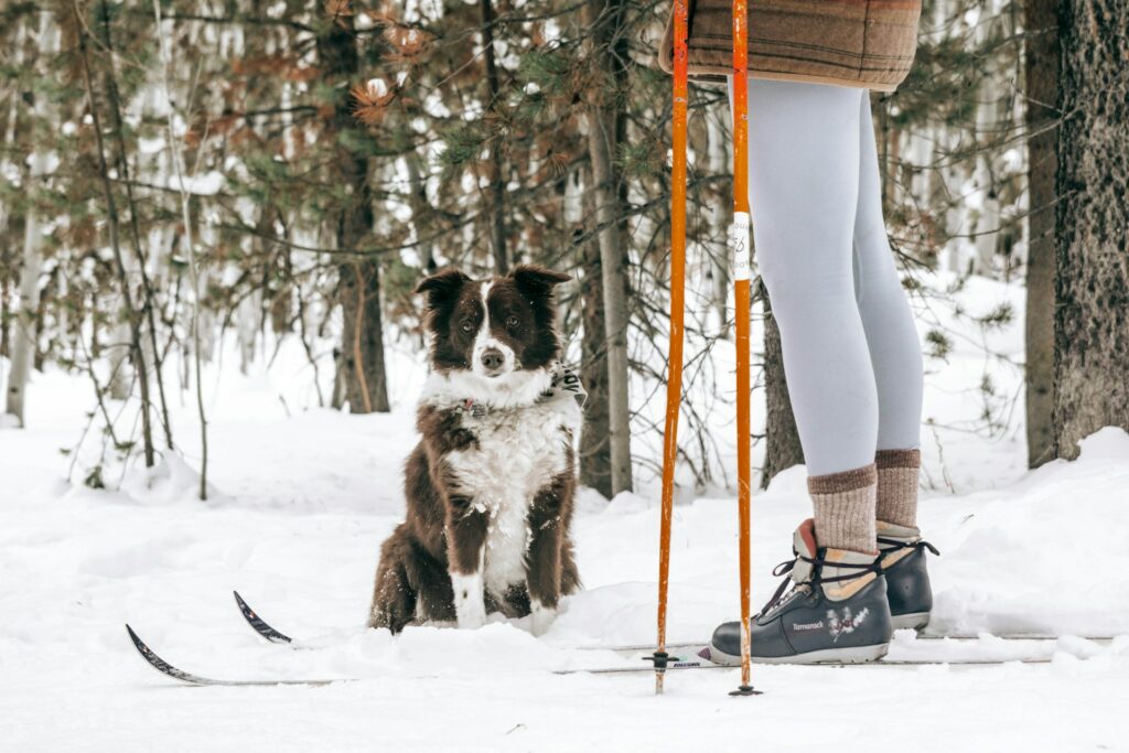 Are There Any Cross-Country Skiing Trails Near Orangeville?