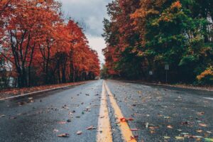 Orangeville Fall Foliage