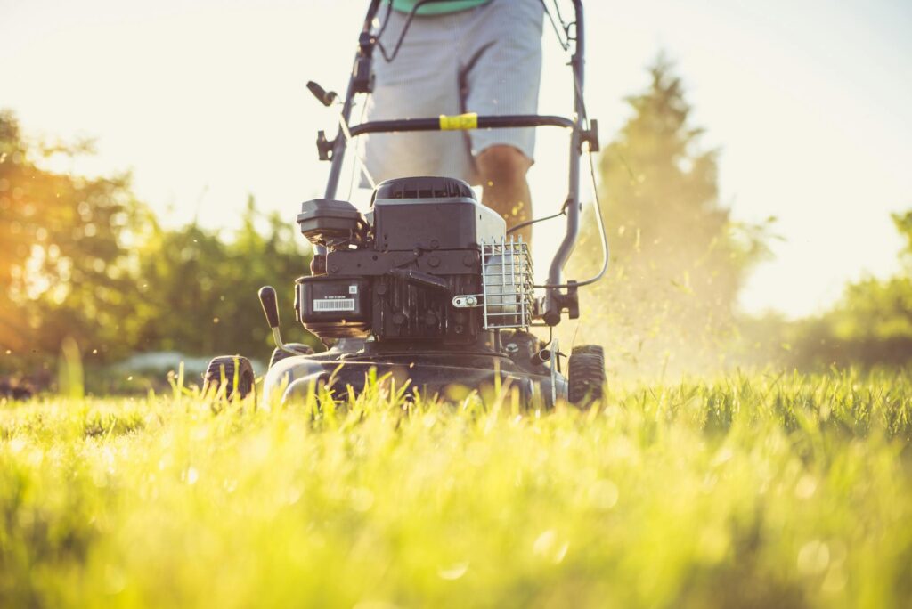 What is Household Care and Maintenance?