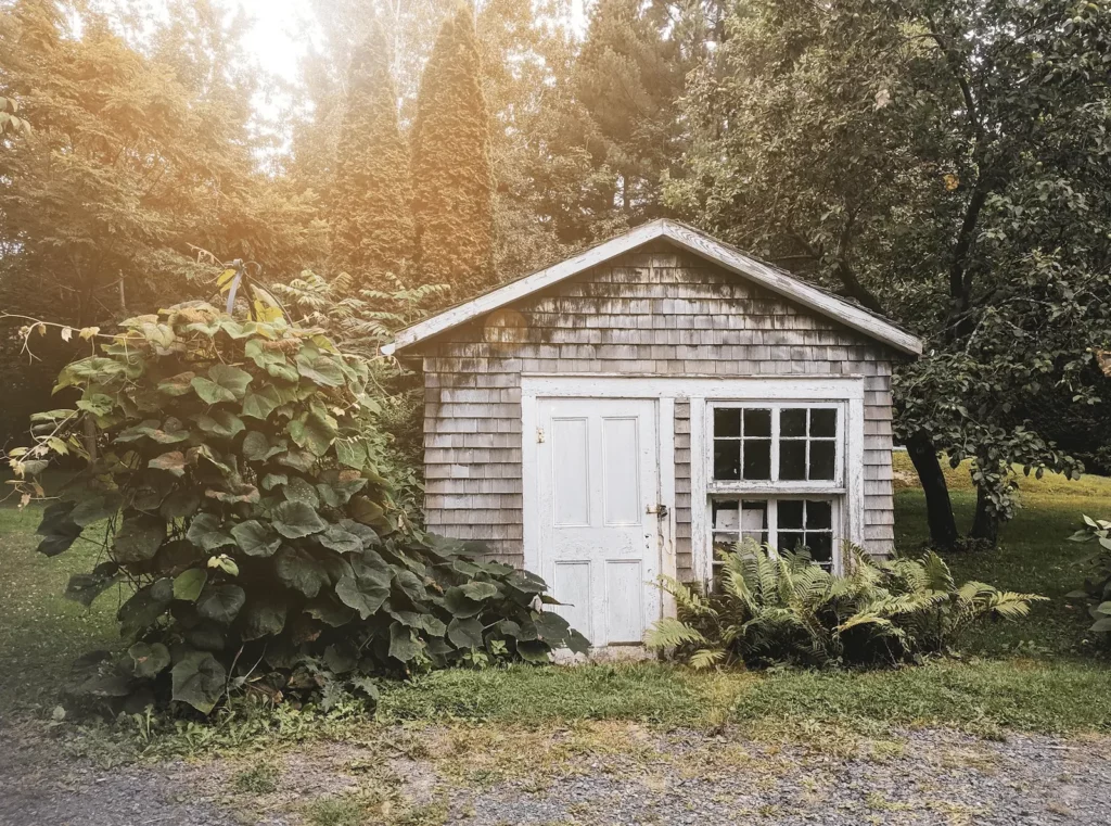 What is the Smallest Livable Tiny Home?