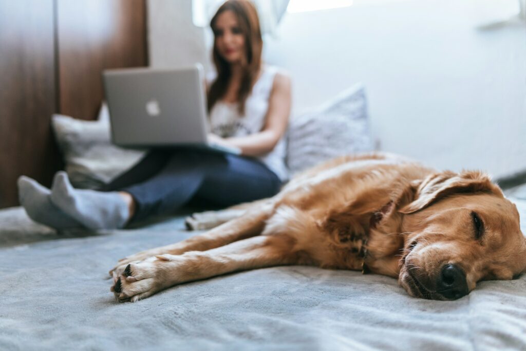 How Do I Check the Air Quality in My Home?